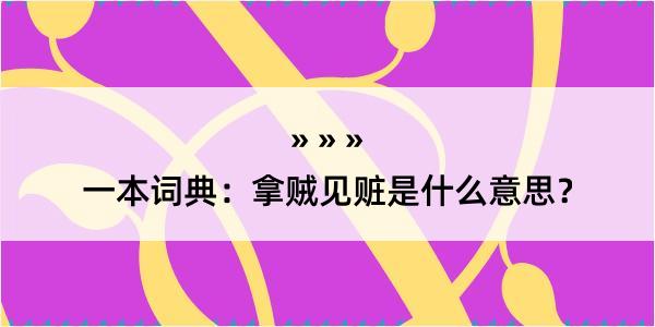 一本词典：拿贼见赃是什么意思？