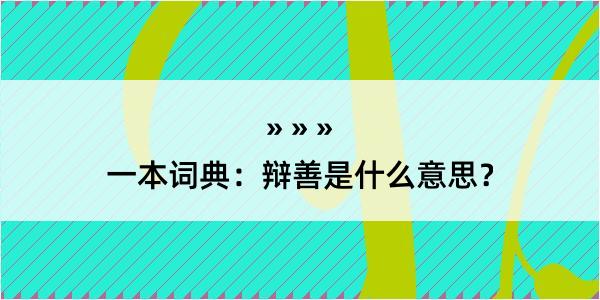 一本词典：辩善是什么意思？