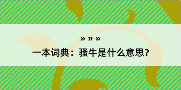 一本词典：骚牛是什么意思？