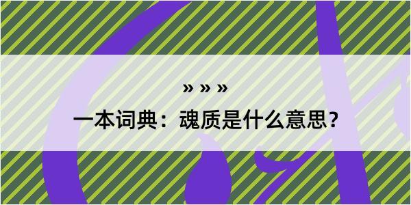 一本词典：魂质是什么意思？