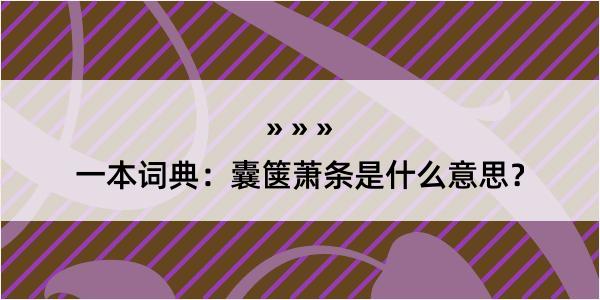 一本词典：囊箧萧条是什么意思？