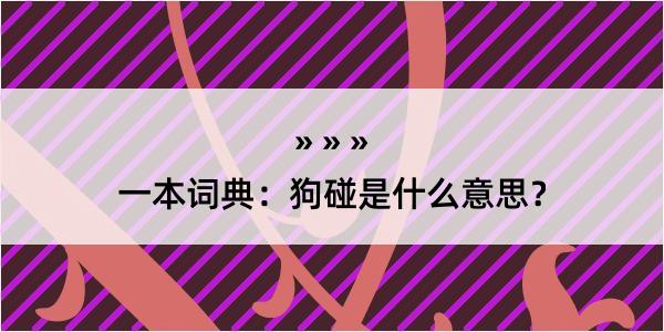 一本词典：狗碰是什么意思？