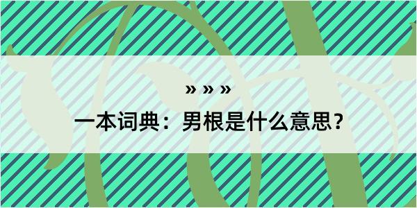 一本词典：男根是什么意思？