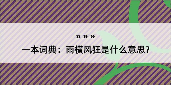 一本词典：雨横风狂是什么意思？