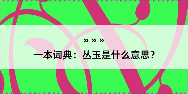 一本词典：丛玉是什么意思？