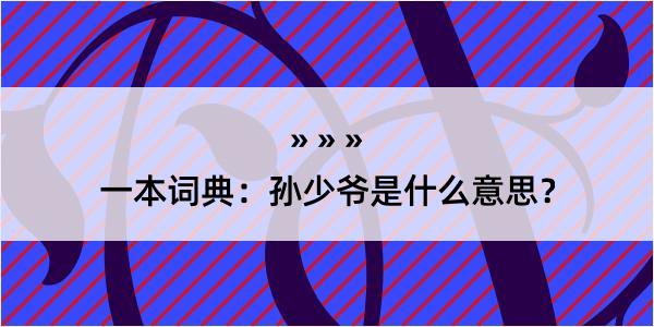 一本词典：孙少爷是什么意思？