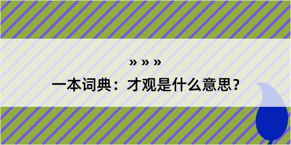 一本词典：才观是什么意思？