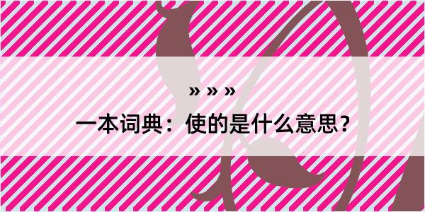 一本词典：使的是什么意思？