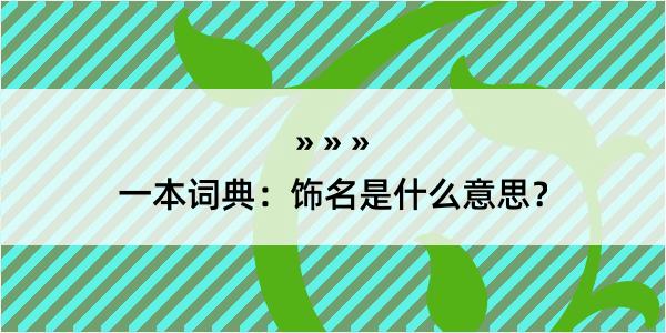 一本词典：饰名是什么意思？