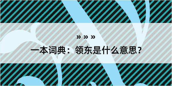 一本词典：领东是什么意思？