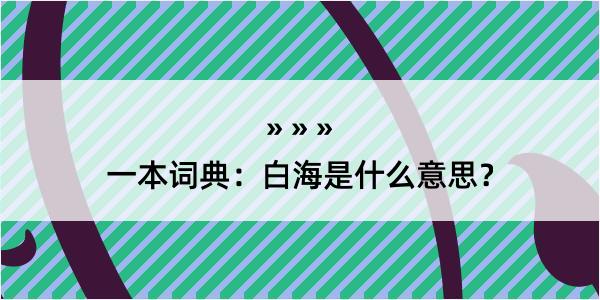 一本词典：白海是什么意思？