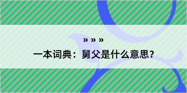 一本词典：舅父是什么意思？