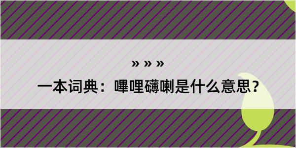 一本词典：嗶哩礴喇是什么意思？