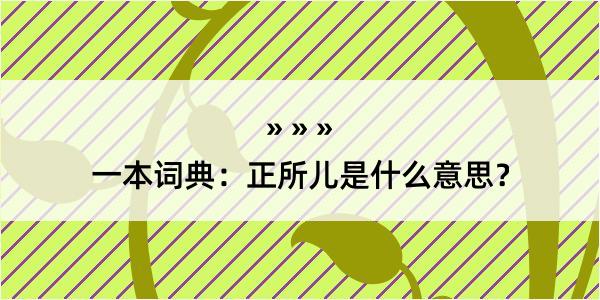 一本词典：正所儿是什么意思？