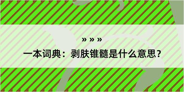 一本词典：剥肤锥髓是什么意思？