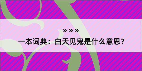 一本词典：白天见鬼是什么意思？