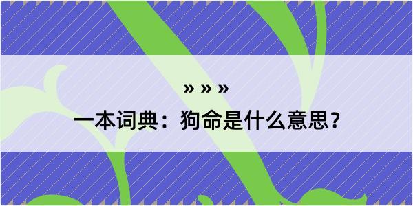 一本词典：狗命是什么意思？