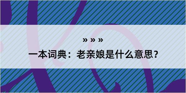 一本词典：老亲娘是什么意思？