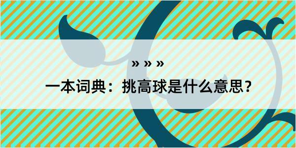 一本词典：挑高球是什么意思？