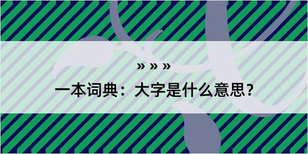 一本词典：大字是什么意思？