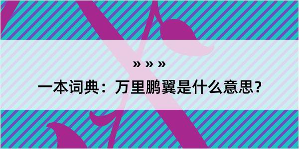 一本词典：万里鹏翼是什么意思？