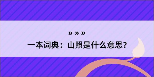 一本词典：山照是什么意思？