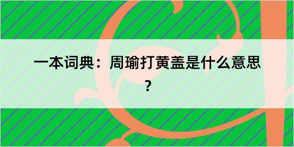 一本词典：周瑜打黄盖是什么意思？