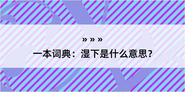 一本词典：湿下是什么意思？