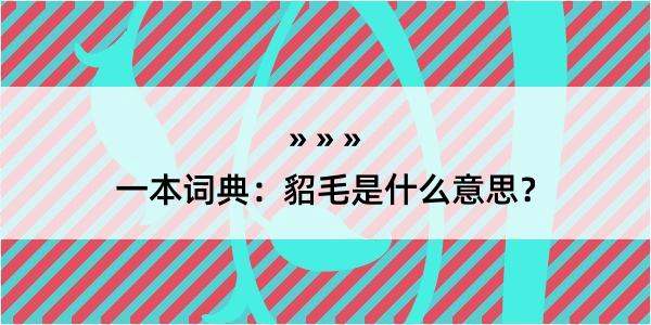 一本词典：貂毛是什么意思？