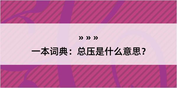 一本词典：总压是什么意思？