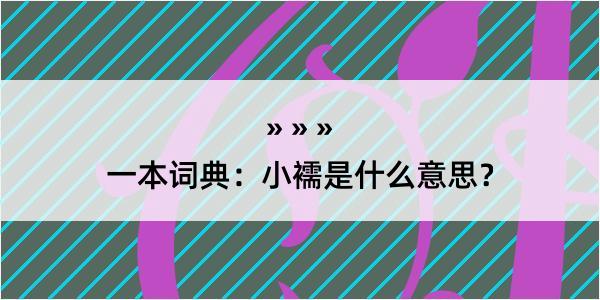 一本词典：小襦是什么意思？