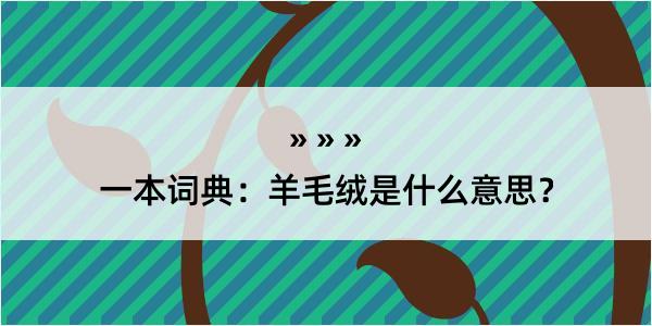 一本词典：羊毛绒是什么意思？