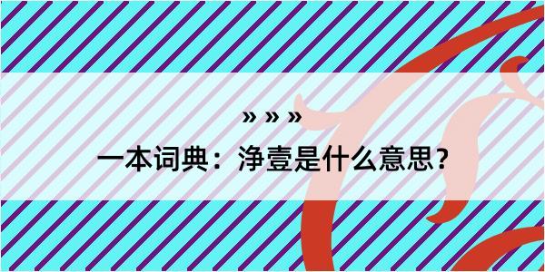 一本词典：浄壹是什么意思？