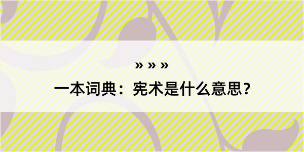 一本词典：宪术是什么意思？