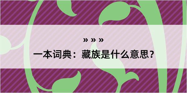 一本词典：藏族是什么意思？