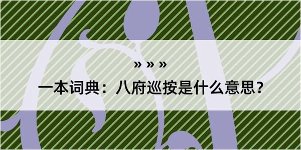 一本词典：八府巡按是什么意思？