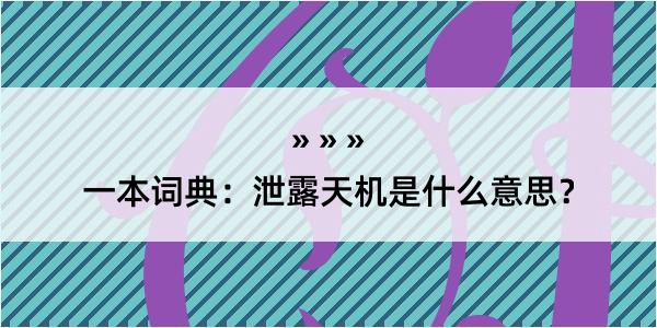 一本词典：泄露天机是什么意思？