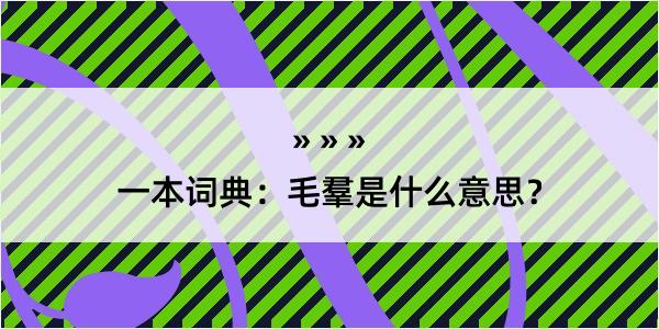 一本词典：毛羣是什么意思？