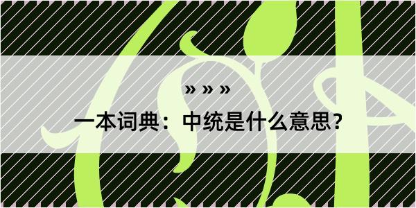 一本词典：中统是什么意思？