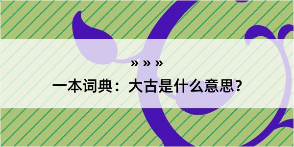 一本词典：大古是什么意思？