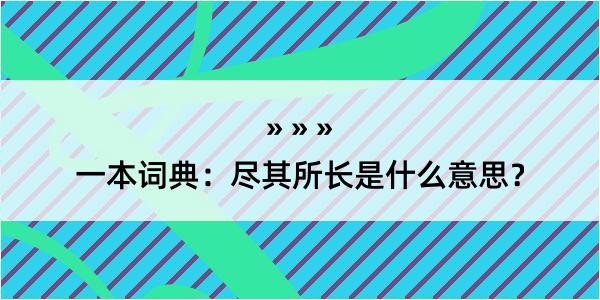 一本词典：尽其所长是什么意思？