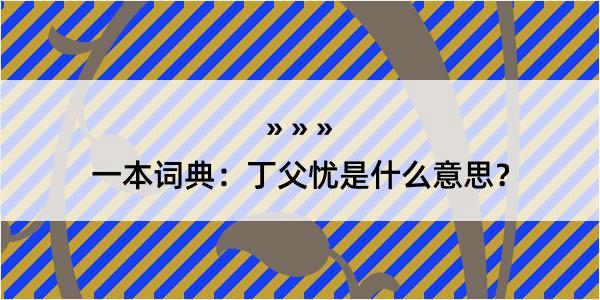 一本词典：丁父忧是什么意思？