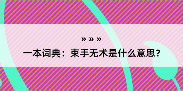 一本词典：束手无术是什么意思？