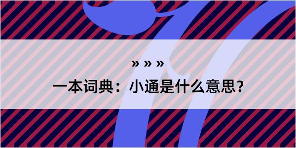 一本词典：小通是什么意思？