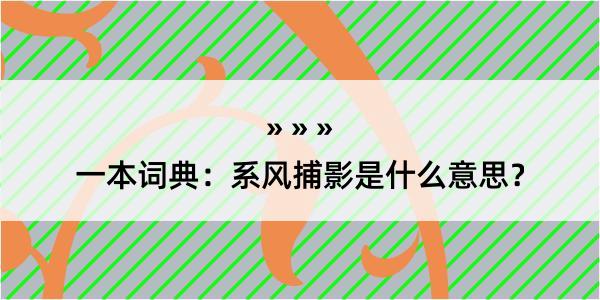 一本词典：系风捕影是什么意思？