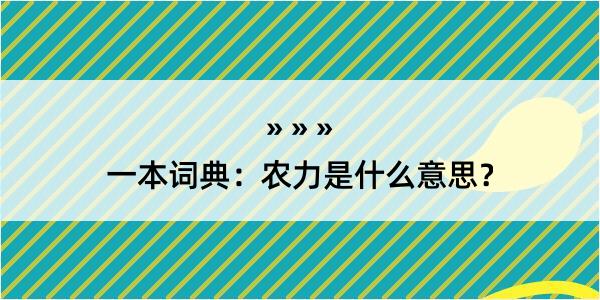 一本词典：农力是什么意思？