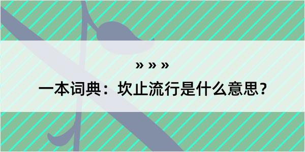 一本词典：坎止流行是什么意思？