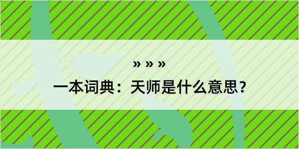 一本词典：天师是什么意思？