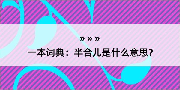 一本词典：半合儿是什么意思？