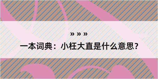 一本词典：小枉大直是什么意思？